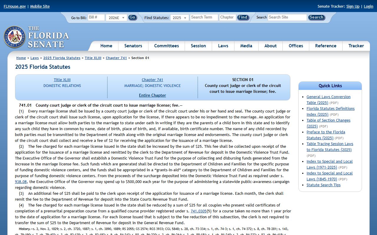 Alachua County marriage records Florida marriage license issuance statute 741.01